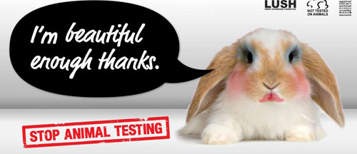 indiansinkuwait-animal-testing-is-it-really-necessary