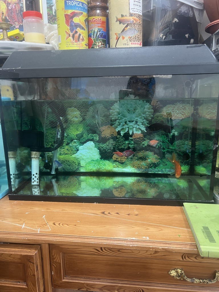 Buy and sell fish tanks best sale