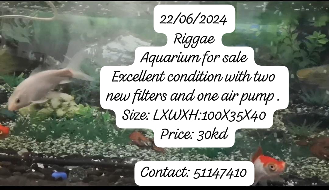 Aquarium for sale in Riggae