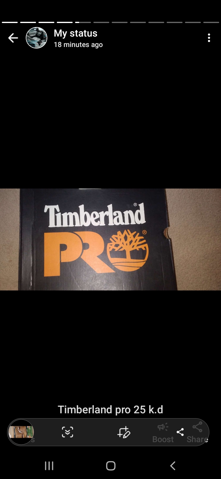 Timberland Pro Boot brand new boxed for sale