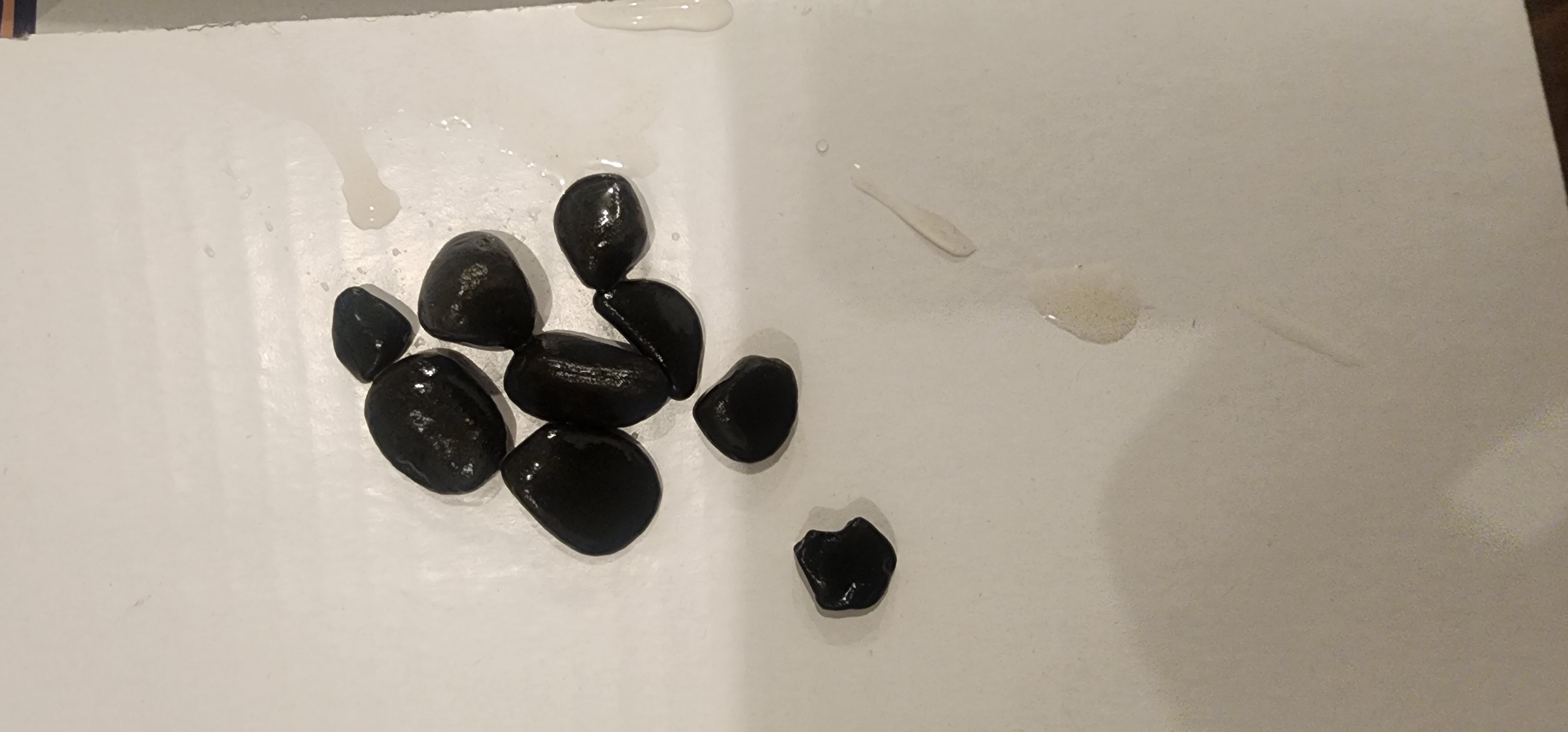 Black pebbles (aquarium gravel) for sale 