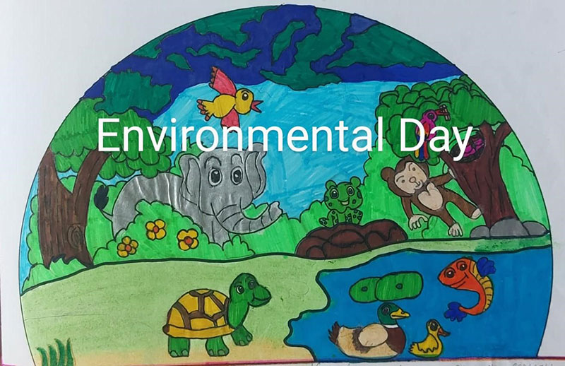 Environment Day: Small Steps Towards Big Changes
