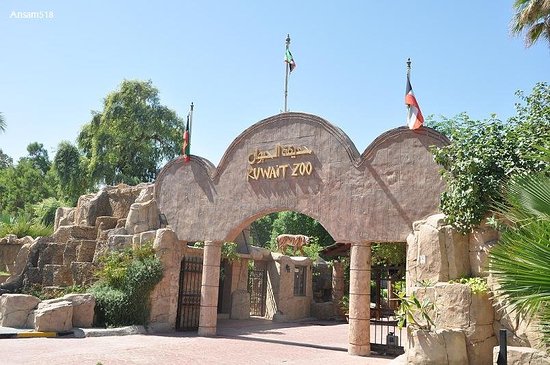 Kuwait Zoo releases winter visiting hours